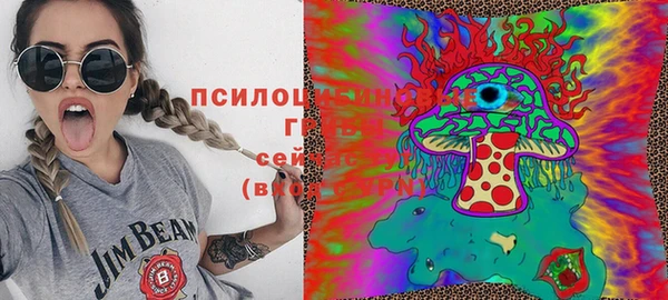 амф Алексеевка