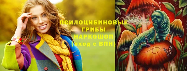 амф Алексин