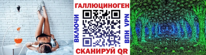 Галлюциногенные грибы Psilocybine cubensis  Шумиха 